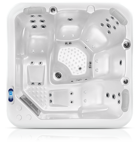 Glacia - Pearl školjka